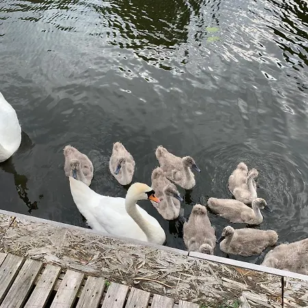 Ferienhaus an der alten Havel *